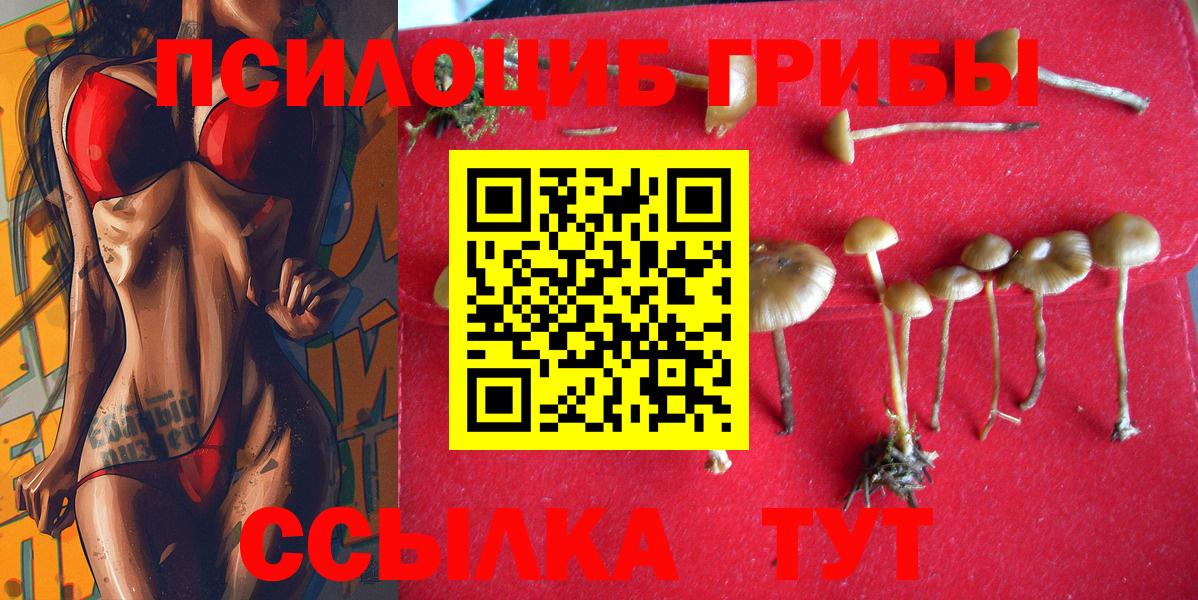 Галлюциногенные грибы Cubensis  Вход с VPN  Псилоцибиновые грибы мицелий  Ступино 